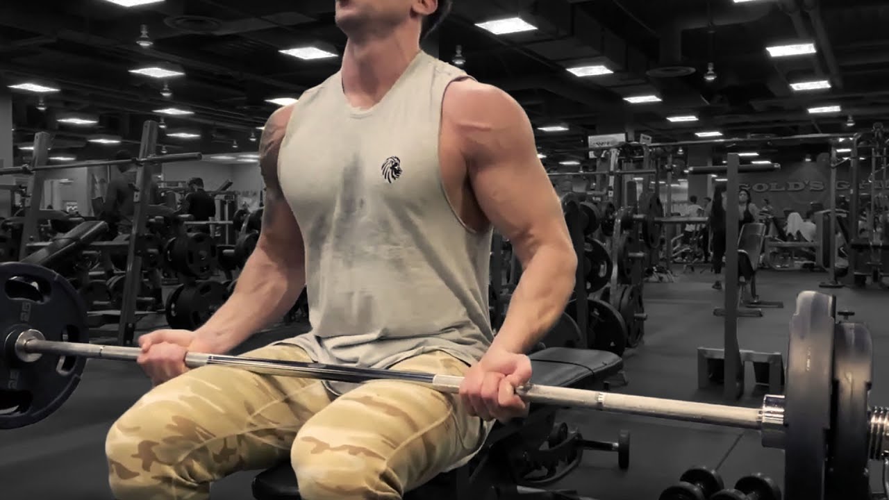 Seated Barbell Curl For Building Bigger Arms Superhuman Fitness