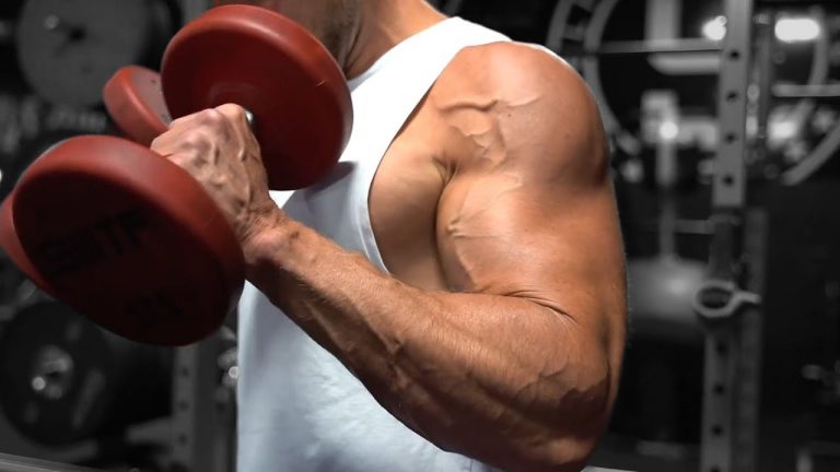 Best Bicep Exercises For Bigger Biceps Superhuman Fitness 0567