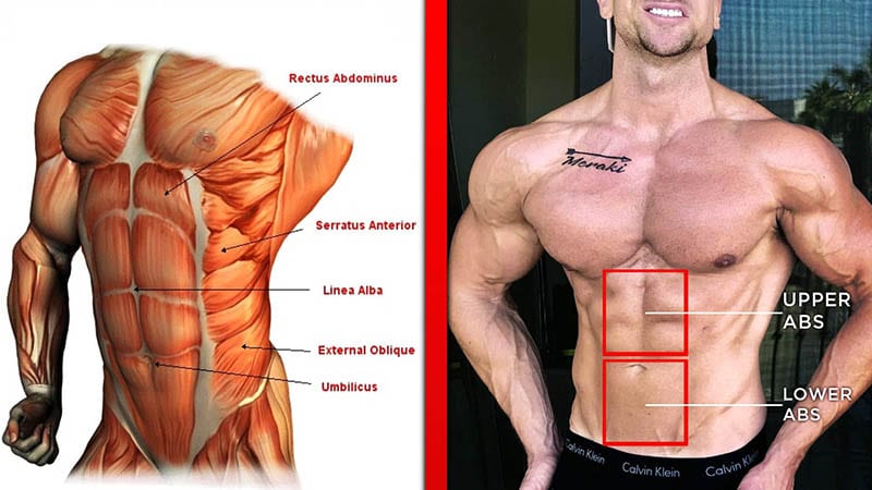 Before & After Abs Exercises