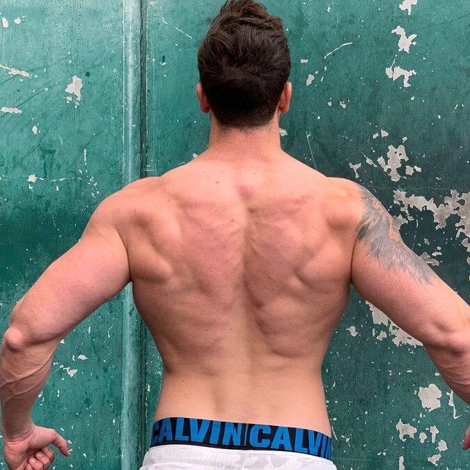 Back muscle